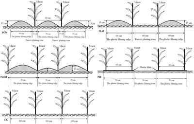 Plastic-Film Mulching for Enhanced Water-Use Efficiency and Economic Returns from Maize Fields in Semiarid China